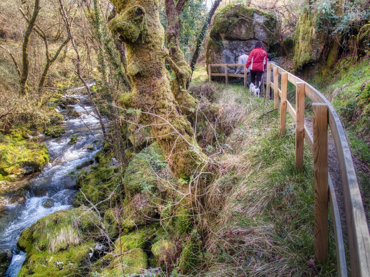 A levada As de Maruxa