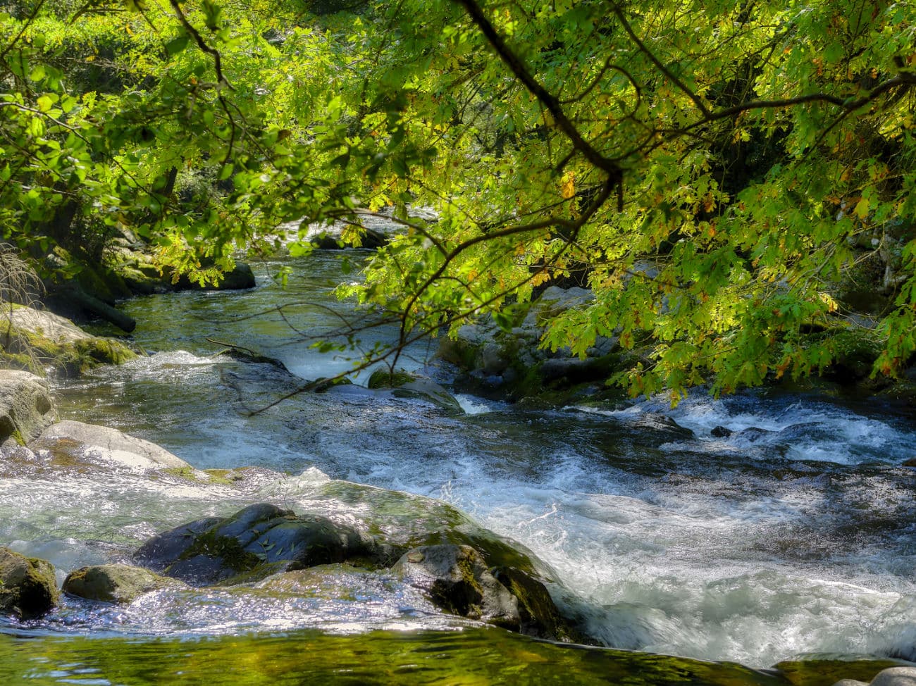 Río Deva: Un viaje de senderismo por la histórica Arbo
