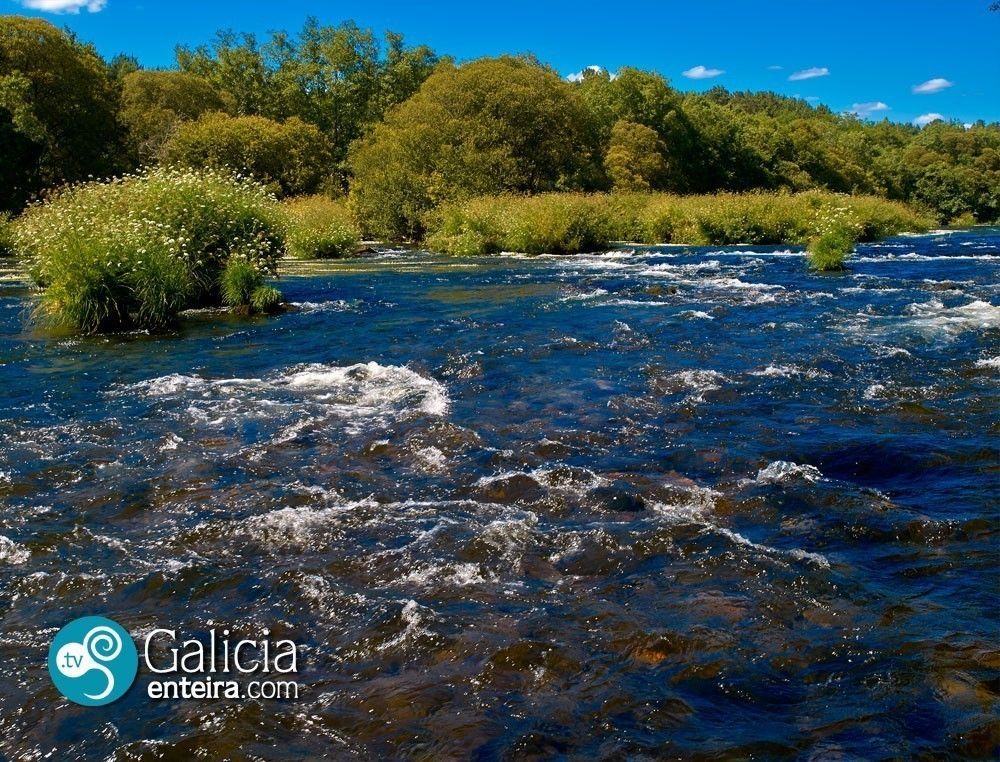 Río Ulla - A Ribeira - A Estrada