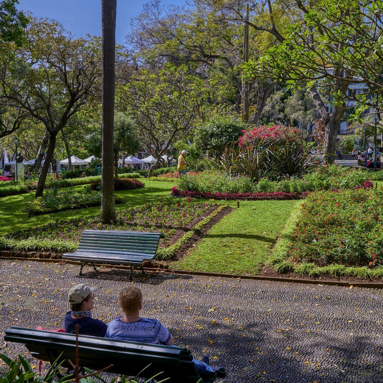 Jardín municipal Funchal Madeira