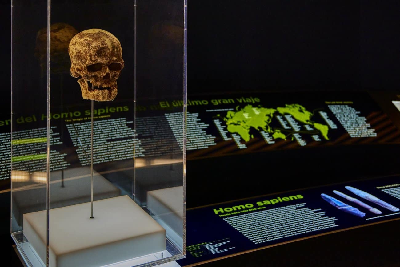 Museo de la Evolución Humana Burgos