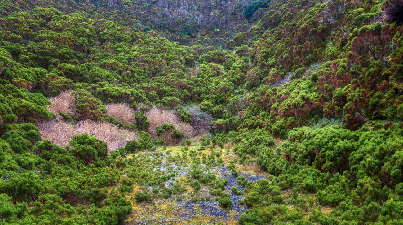 Reserva Natural Geológica Algar do Carvão Azores Terceira