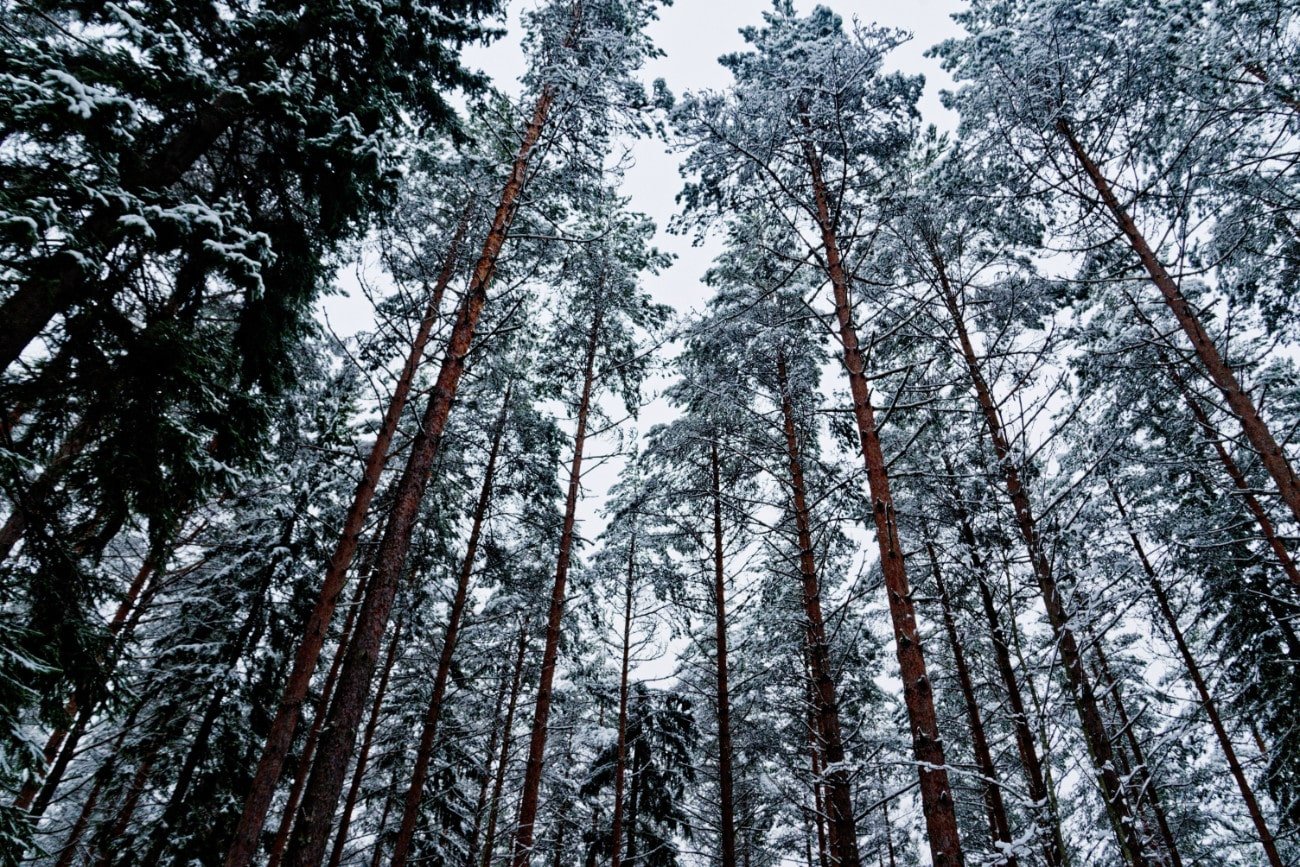 Qué ver en Finlandia