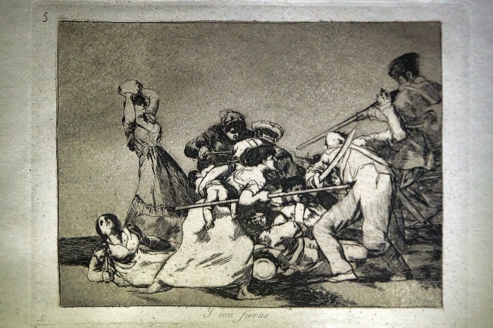Museo Goya